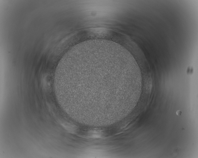 X0000111370701200907241246