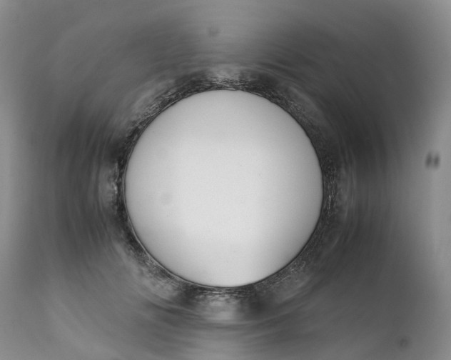 X0000111370702200907241246