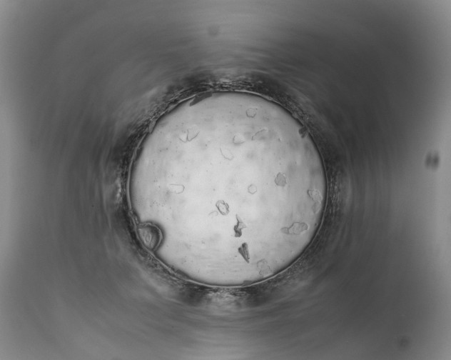 X0000111370703200907241246