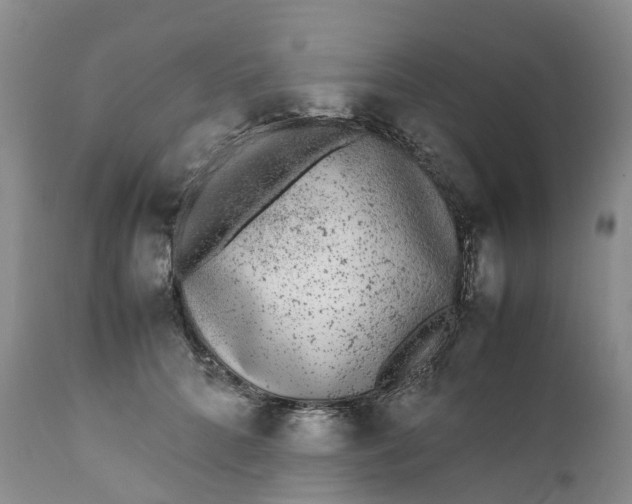 X0000111370704200907241246