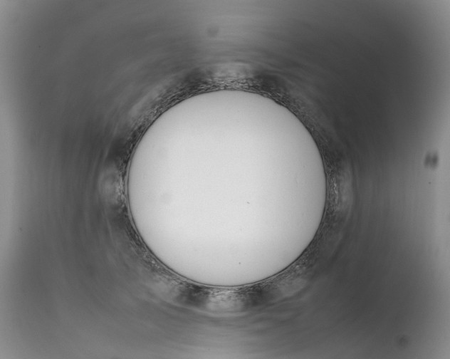 X0000111370705200907241246