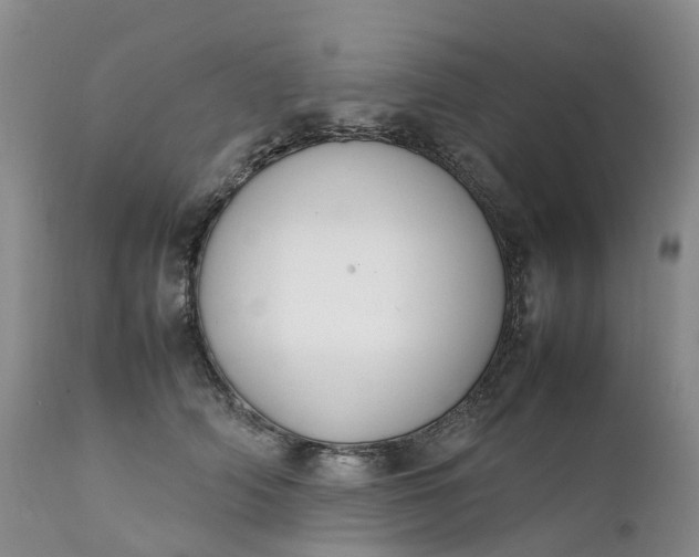 X0000111370706200907241246