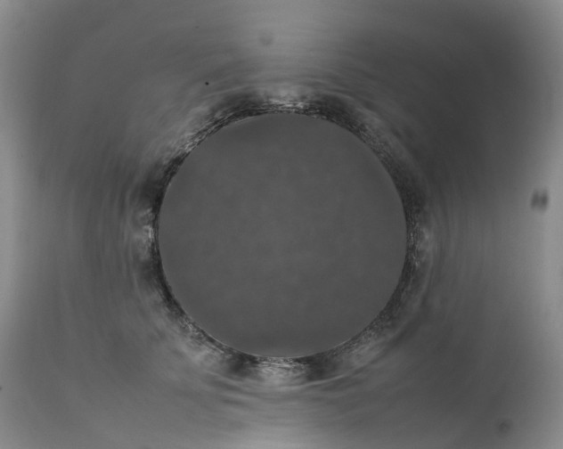 X0000111370707200907241246