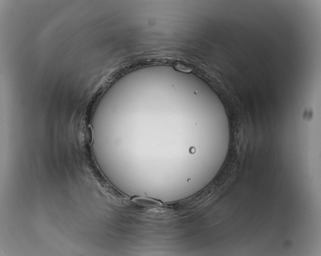 X0000111370708200907241246