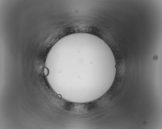 X0000111370709200907241246