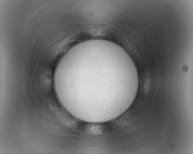 X0000111370710200907241246