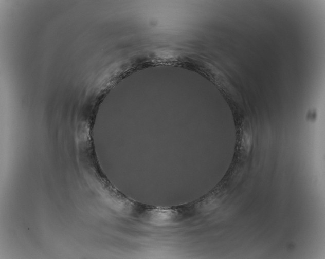 X0000111370711200907241246