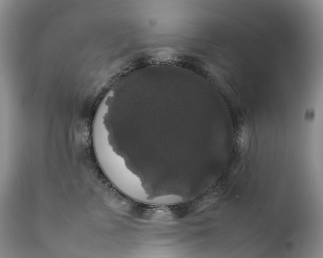 X0000111370715200907241246