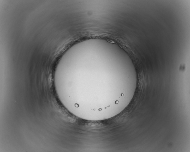 X0000111370716200907241246