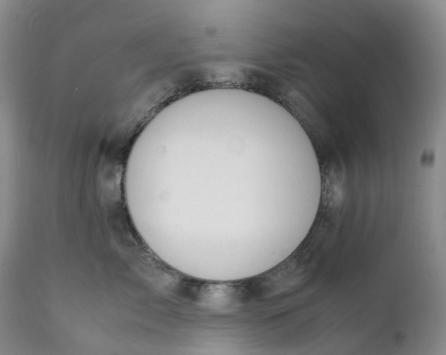 X0000111370717200907241245