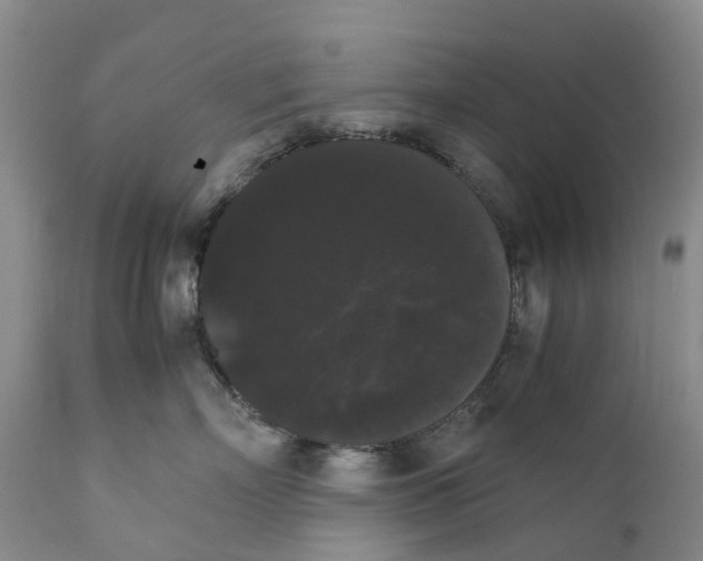 X0000111370718200907241245