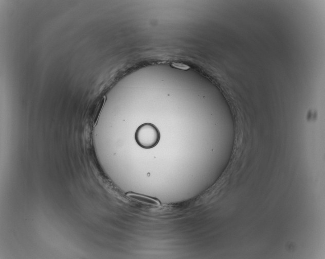 X0000111370720200907241245