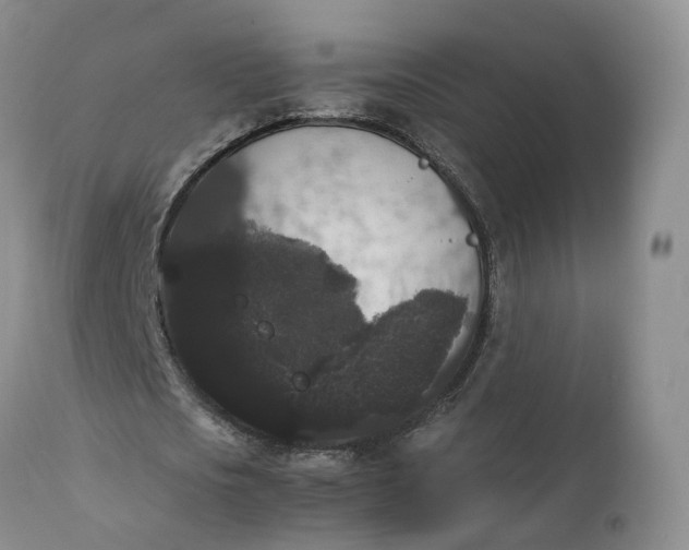 X0000111370721200907241245