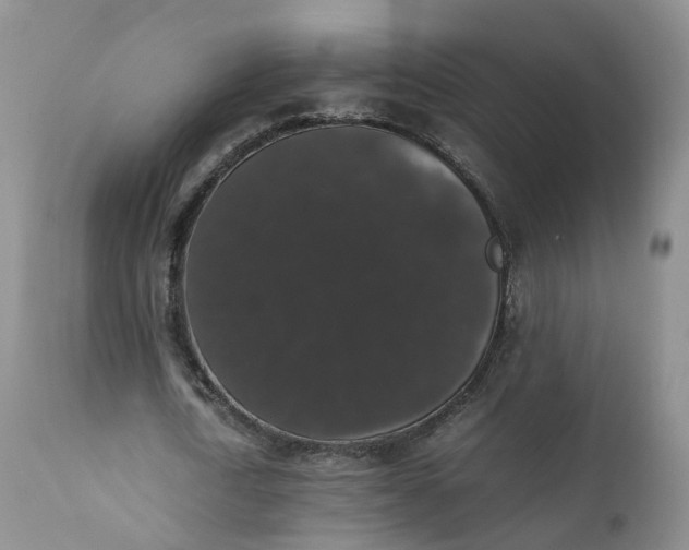 X0000111370722200907241245