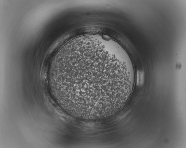 X0000111370723200907241245