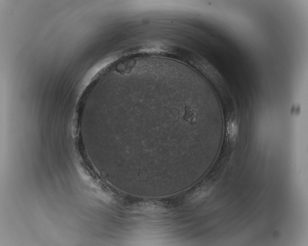 X0000111370724200907241245