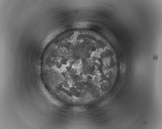 X0000111370725200907241245