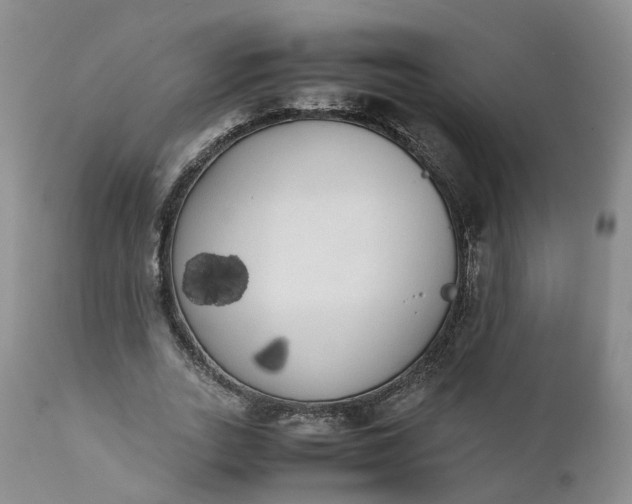 X0000111370727200907241245