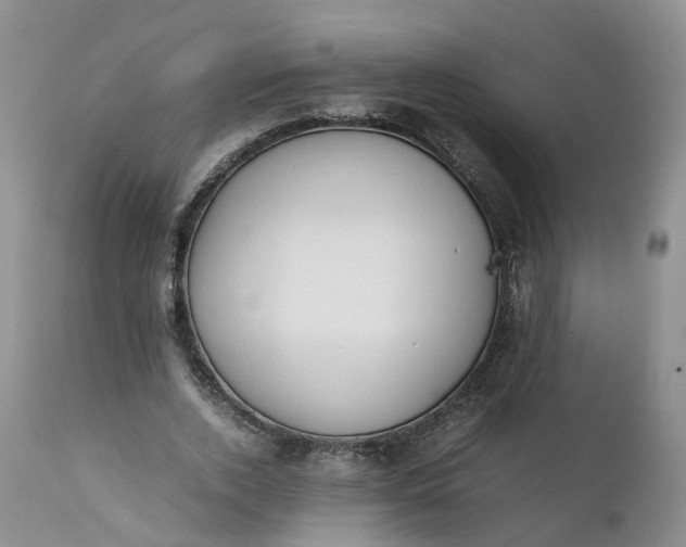 X0000111370728200907241245