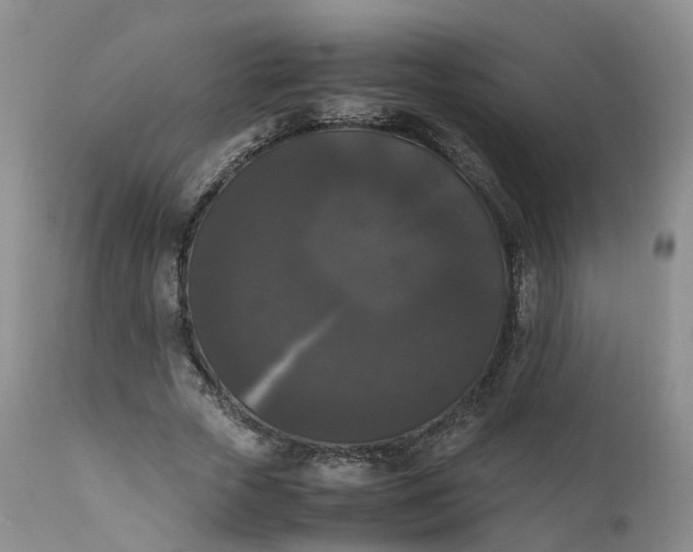 X0000111370729200907241245