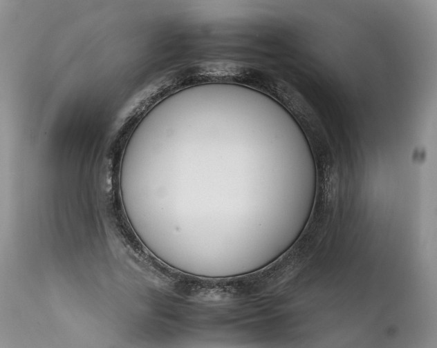 X0000111370731200907241245