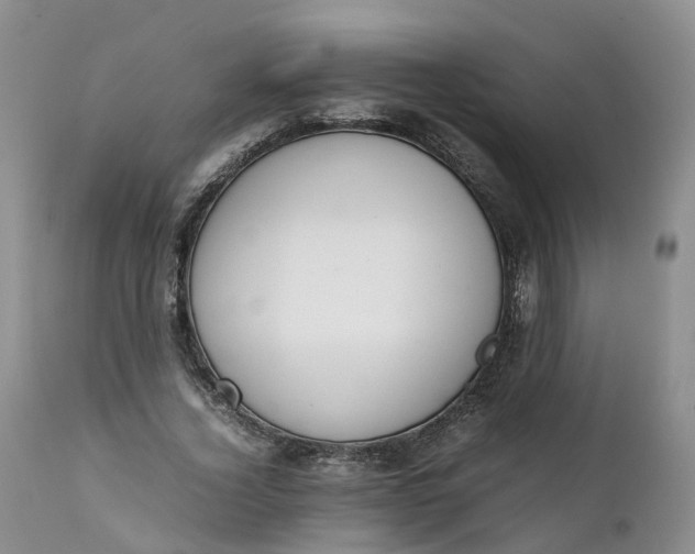 X0000111370732200907241245