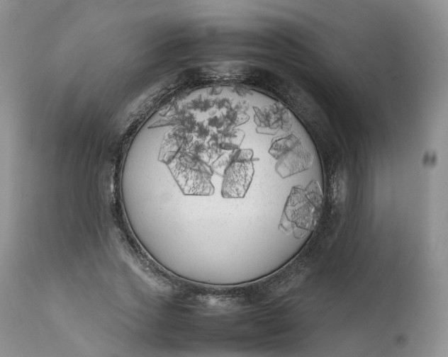 X0000111370733200907241245