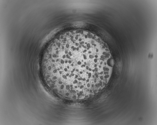 X0000111370734200907241245