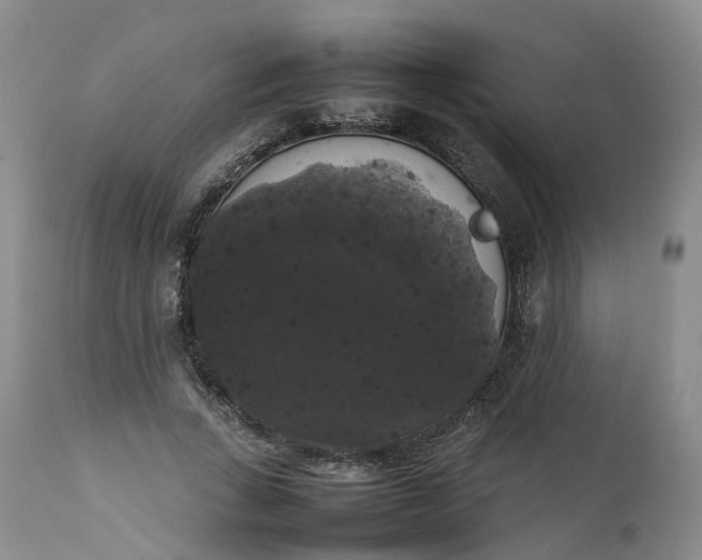 X0000111370735200907241245