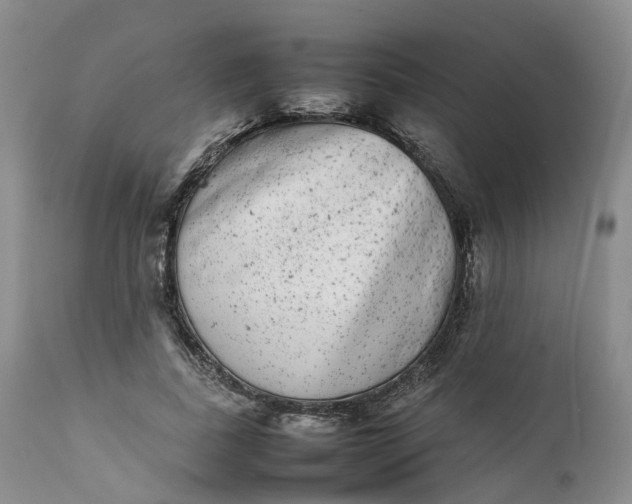 X0000111370739200907241245