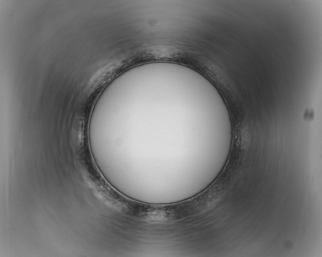 X0000111370740200907241245