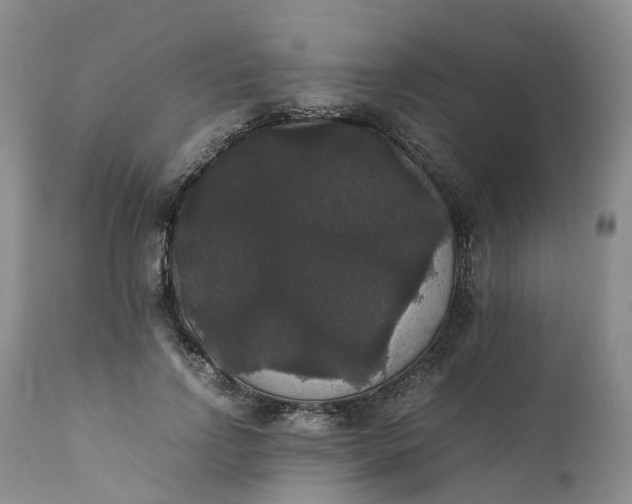 X0000111370742200907241245