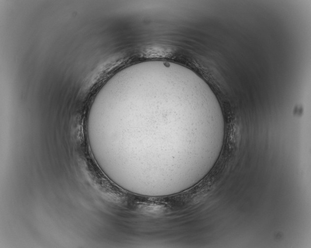 X0000111370743200907241245