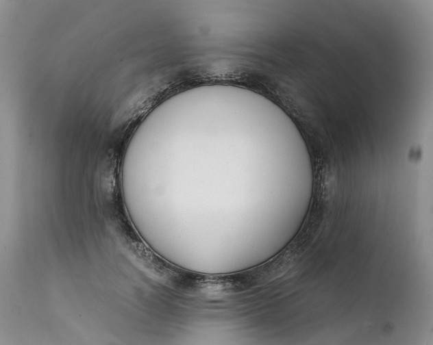 X0000111370746200907241245