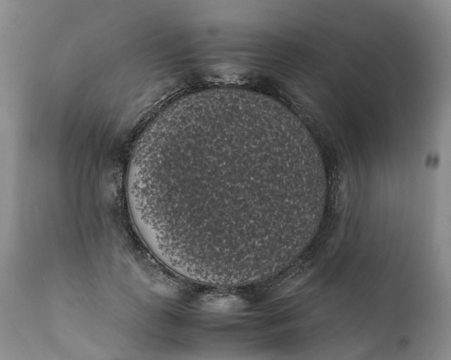 X0000111370747200907241245