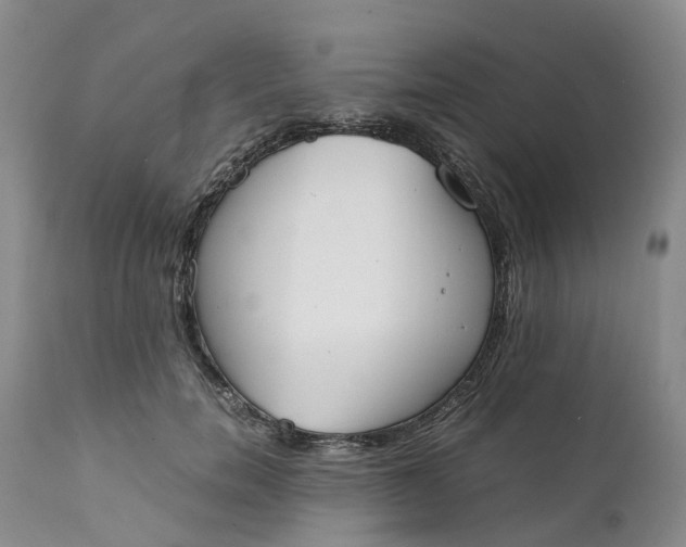 X0000111370750200907241245