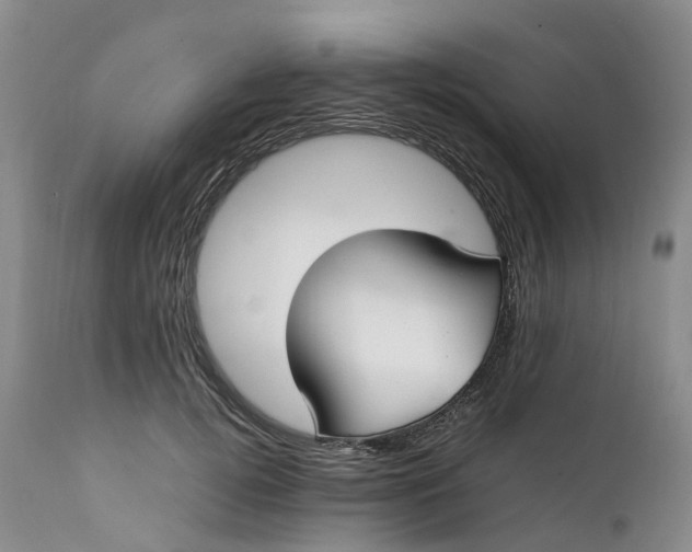 X0000111370752200907241245