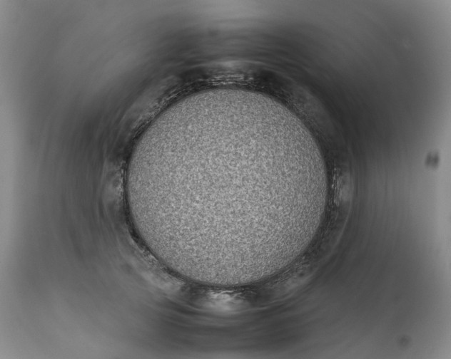 X0000111370753200907241245