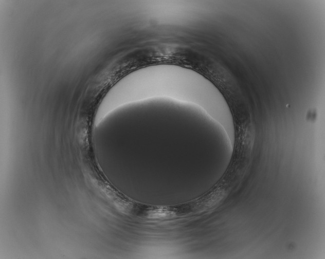 X0000111370754200907241245