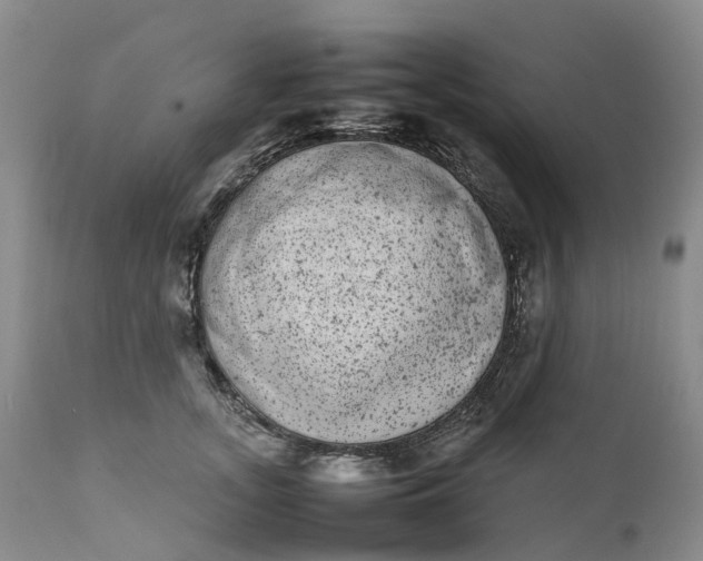 X0000111370755200907241245