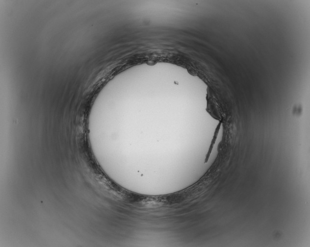 X0000111370756200907241245