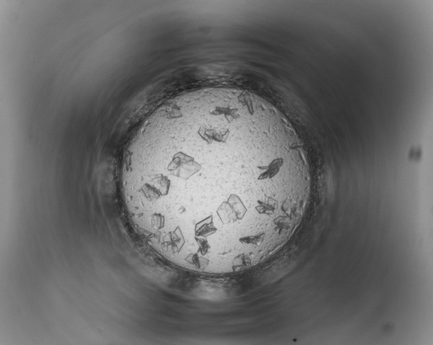 X0000111370757200907241245