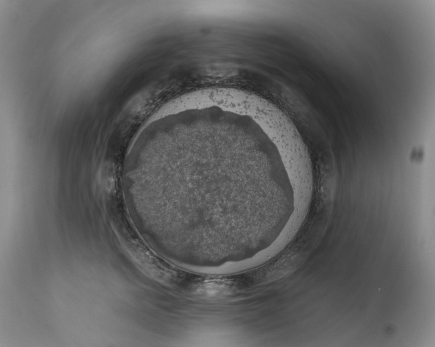 X0000111370758200907241245