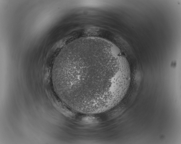 X0000111370759200907241245