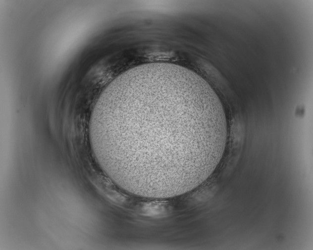 X0000111370761200907241245