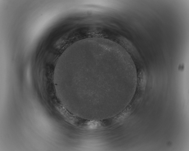 X0000111370762200907241245