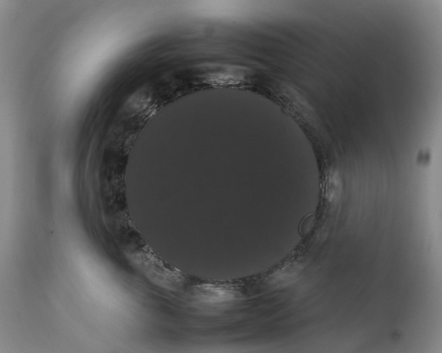 X0000111370763200907241245