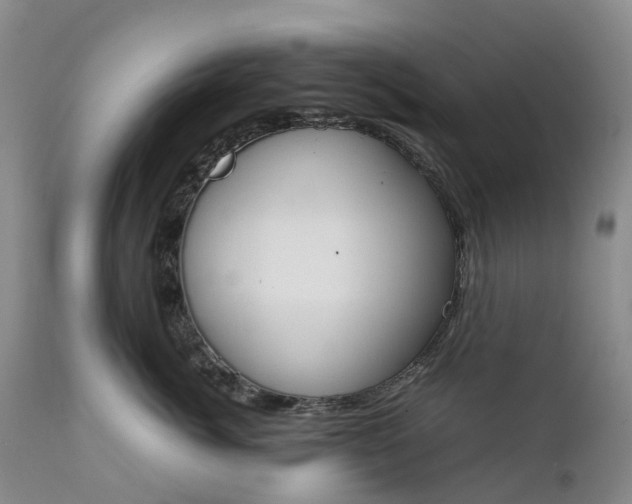 X0000111370764200907241245