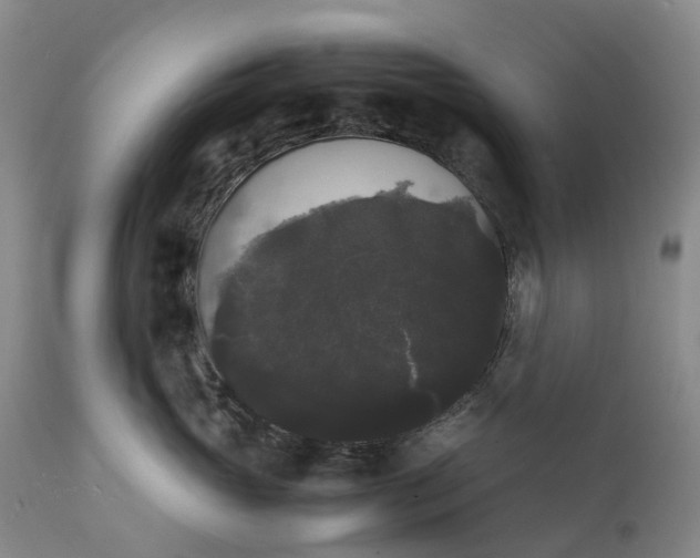 X0000111370765200907241245