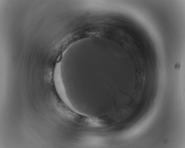 X0000111370767200907241245